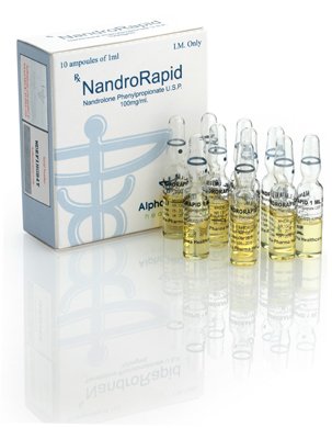 NandroRapid Amp