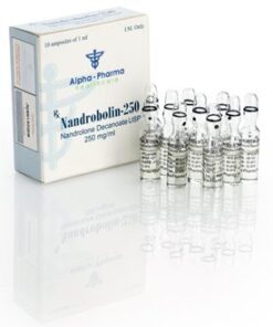 Nandrobolin 250